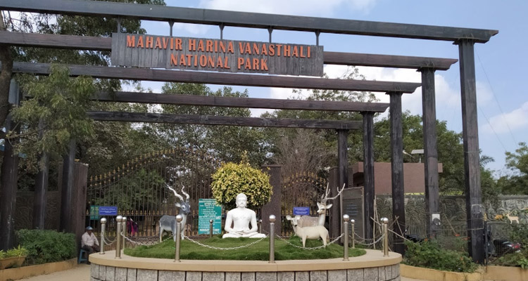Mahavir Harina Vanasthali National Park Hyderabad
