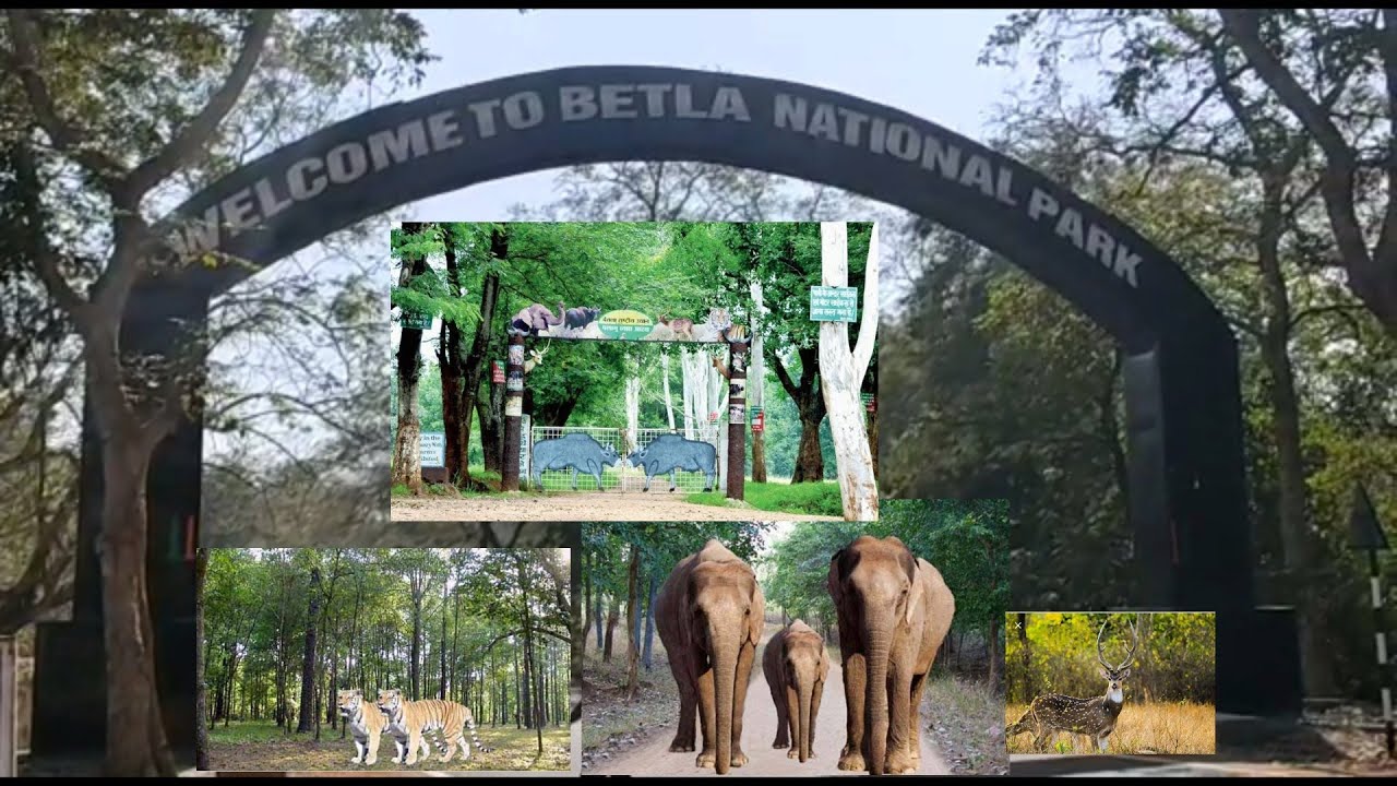 Betla National Park
