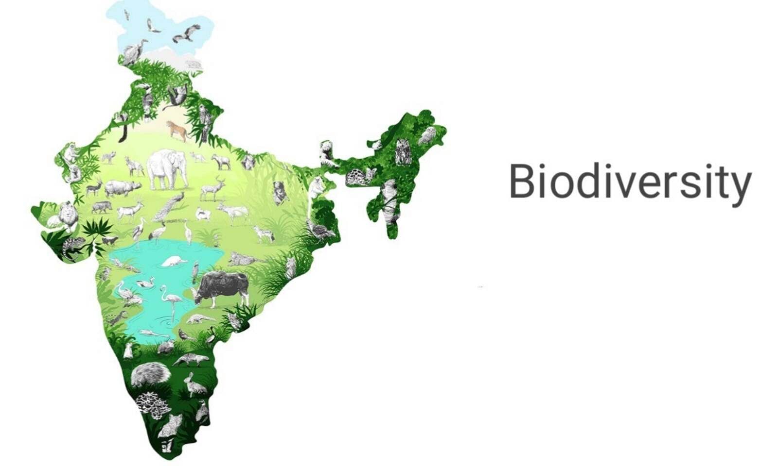 Biodiversity in India