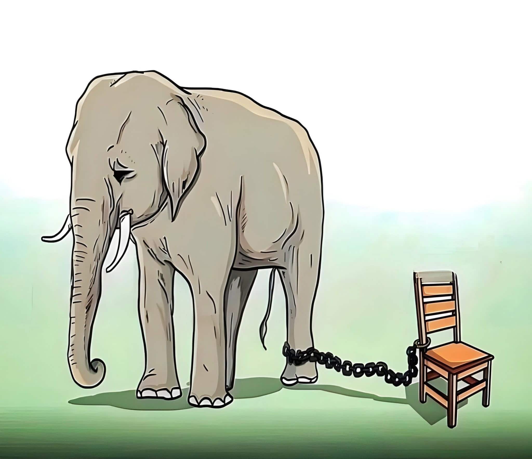 Elephant breaking free from chains Holding Back